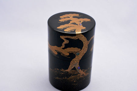 Tea ceremony utensils, Thin matcha container, Slim type, Old pine - Sanao Matsuda, Echizen lacquerware