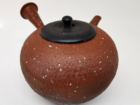 Tea supplies, Kyusu teapot, Vermilion fire kiln-change, Namban Pear skin, Round type - Yokei Mizuno, Tokomane ware, Ceramics
