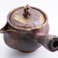 Tea supplies, Kyusu teapot, Lion - Gorobee-kiln, Bizen ware, Ceramics