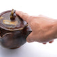 Tea supplies, Kyusu teapot, Lion - Gorobee-kiln, Bizen ware, Ceramics