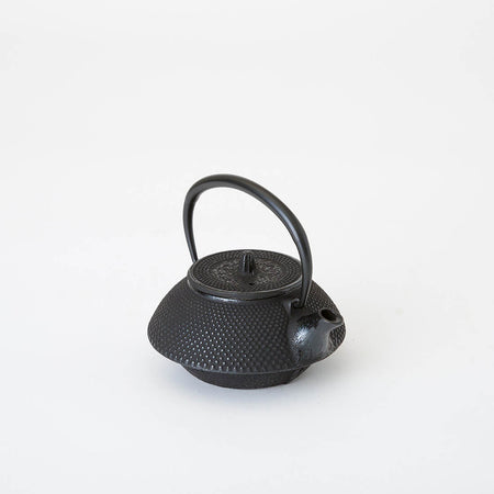 Tea supplies, Kyusu teapot Arbor shape Arare Enameled inside, Yamagata cast iron, Metalwork