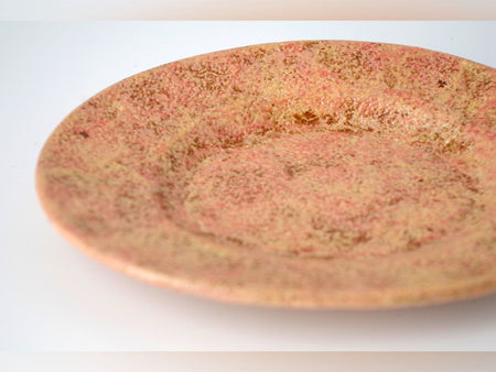 餐具 三色色绘椭圆盘 红色 2个 庄司健 笠间烧 陶瓷器